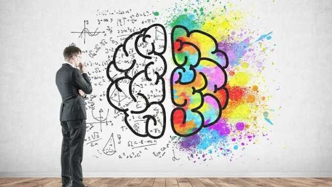 brain-5082237