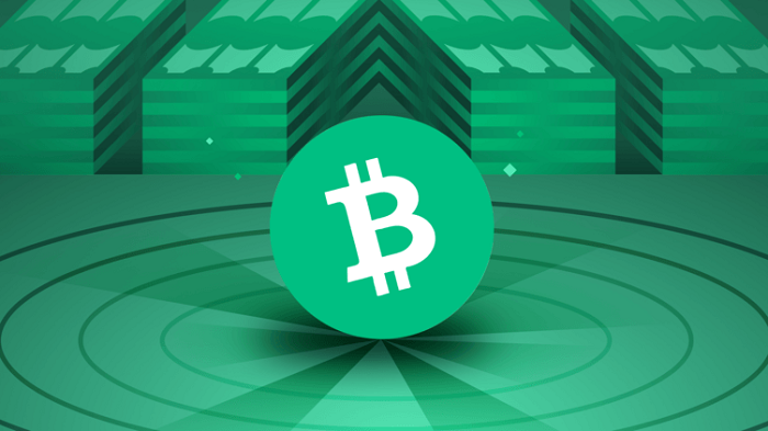 Bitcoin Cash (BCH)