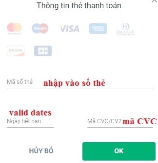 Hệ thống sẽ hiện khung điền thông tin thẻ visa