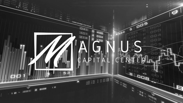 magnus capital center