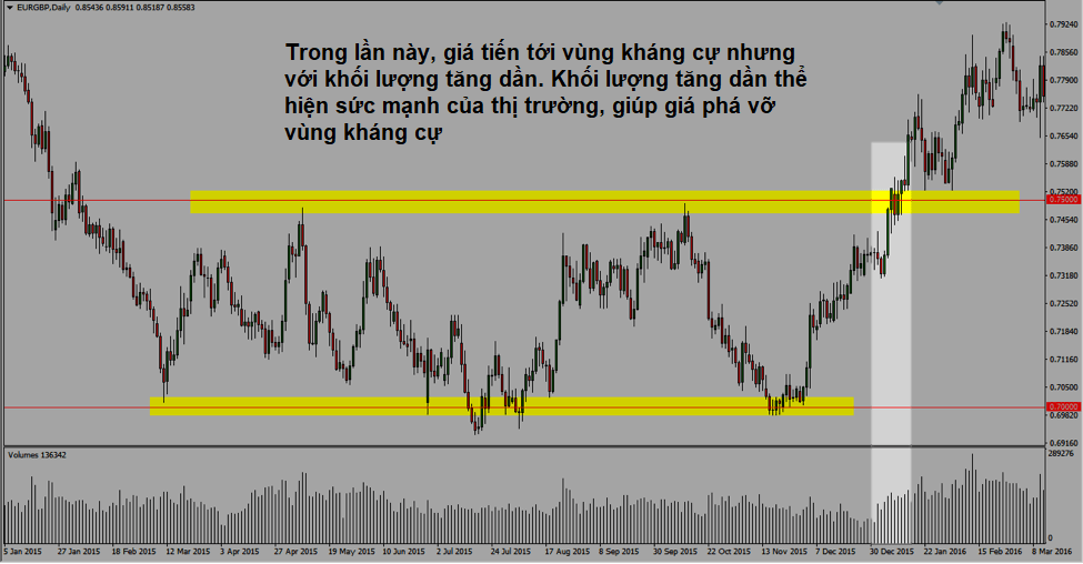 Ví dụ về phân tích khối lượng trong forex
