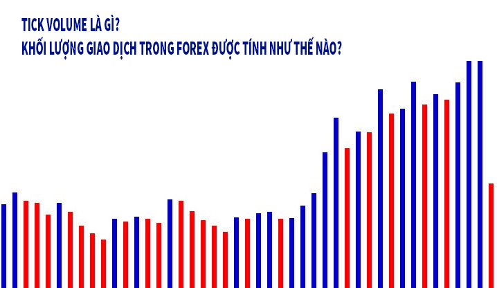 tick volume là gì