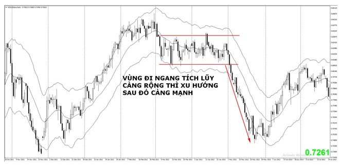 Quy luật nhân quả trong phương pháp Wyckoff là gì?