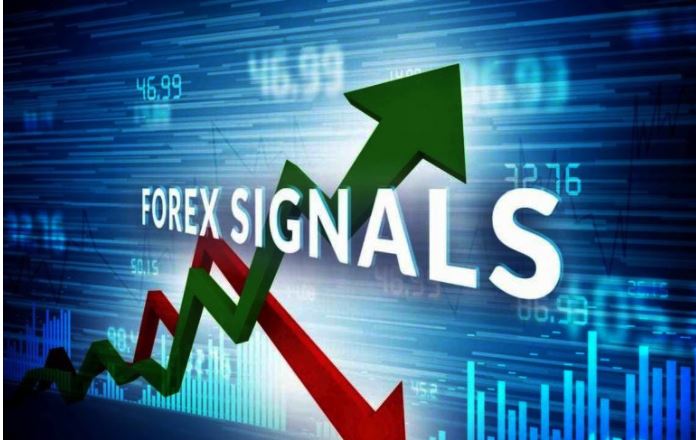 Bạn đã biết cách hiểu về Tín hiệu Forex chính xác nhất?