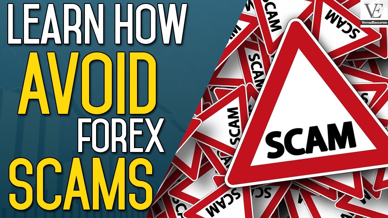 san forex lua dao