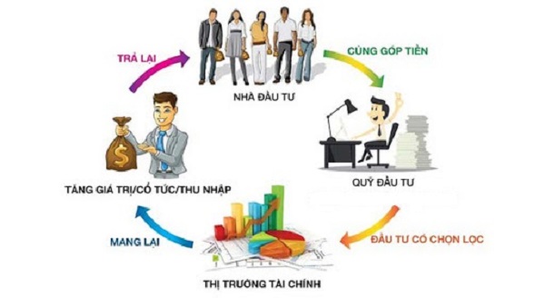 Chứng chỉ quỹ