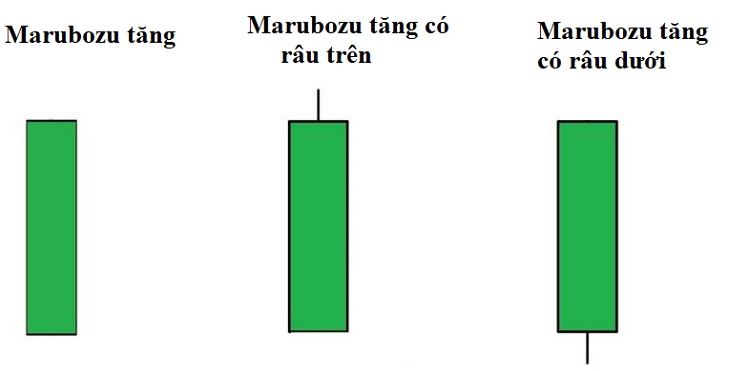 Các mẫu hình nến Marubozu tăng
