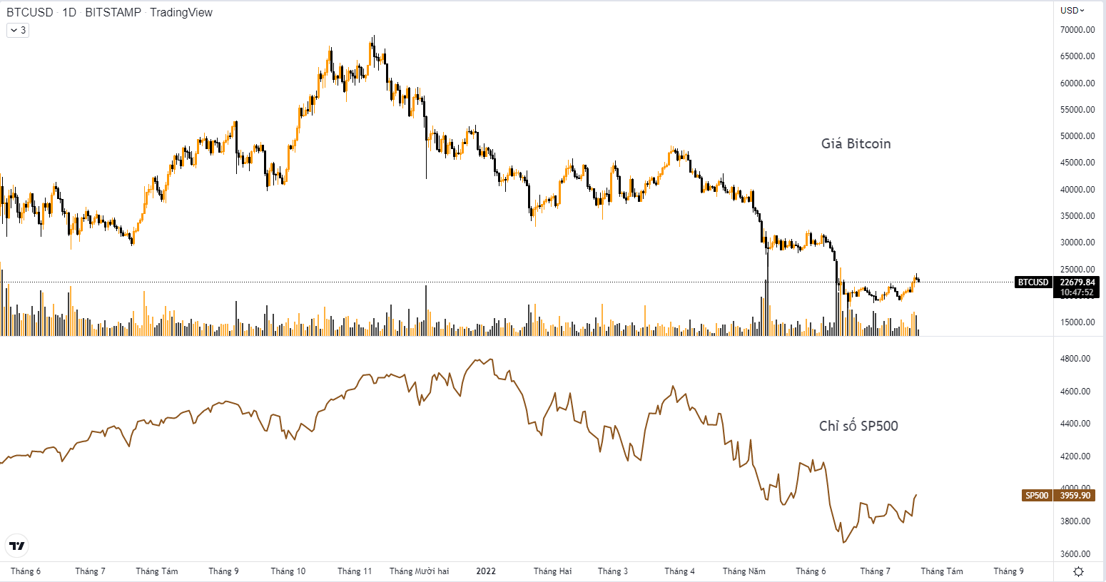 BTC