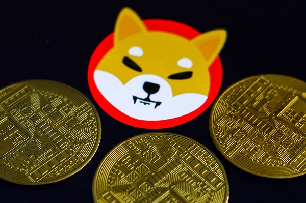 Shiba Inu Coin là một đồng tiền ảo khá đặc biệt