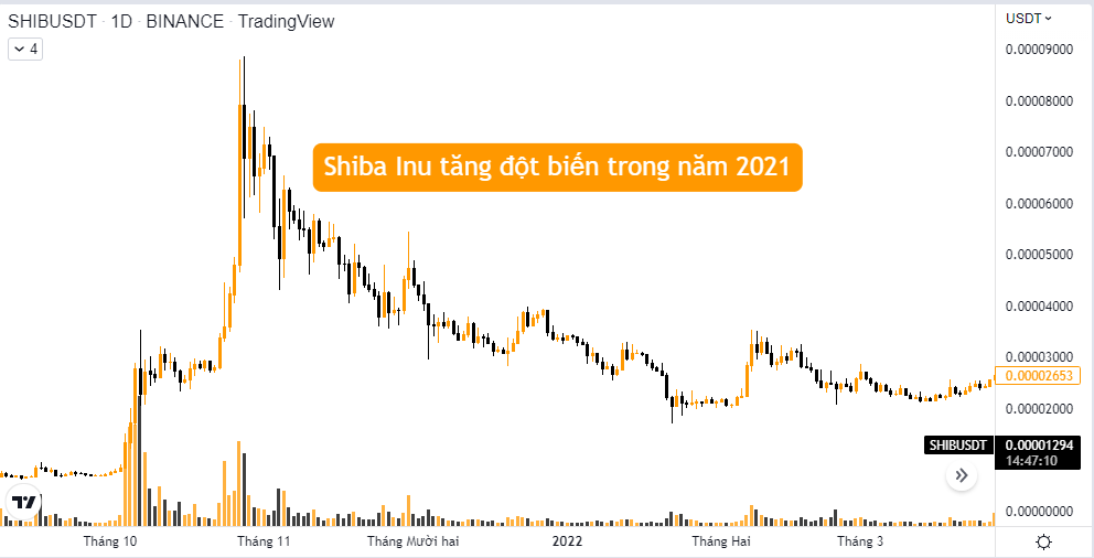 Shiba Inu tăng đột biến trong năm 2021
