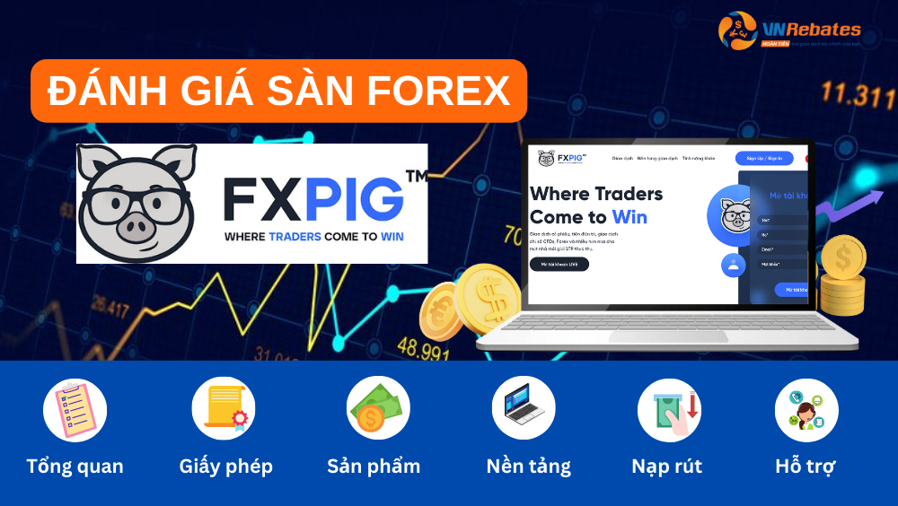Đánh giá sàn FXPIG uy tín hay lừa đảo