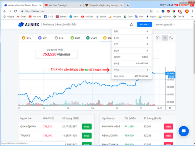 Hướng dẫn đầu tư coin 