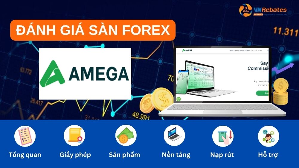 Đánh giá sàn AMEGA chi tiết