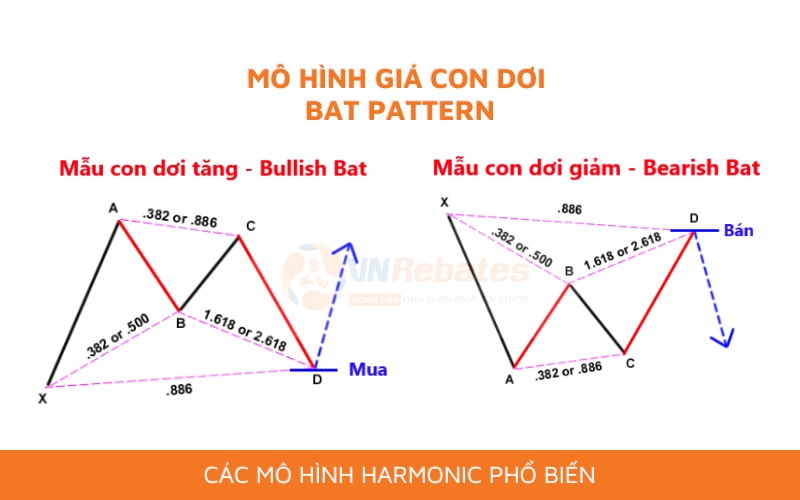 Mô hình giá Harmonic: Mô hình con dơi (Bat pattern)